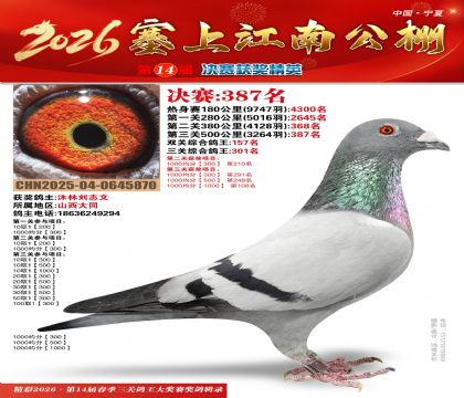 塞上江南决赛387名