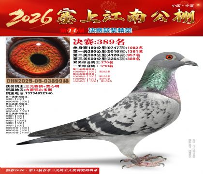 塞上江南决赛389名