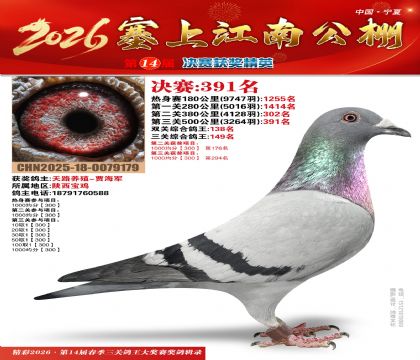 塞上江南决赛391名