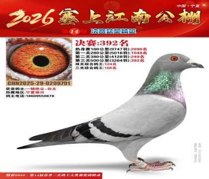 塞上江南决赛392名