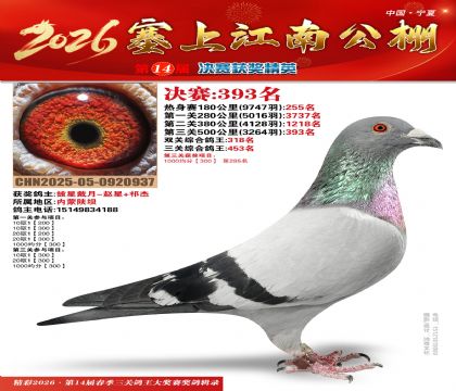 塞上江南决赛393名