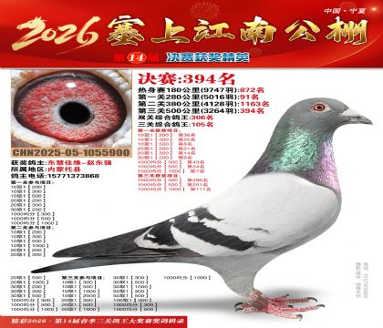 塞上江南决赛394名