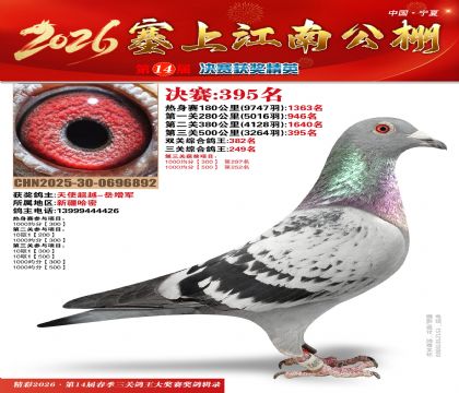 塞上江南决赛395名