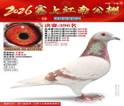 塞上江南决赛396名