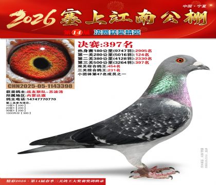 塞上江南决赛397名