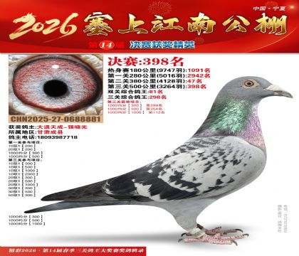 塞上江南决赛398名