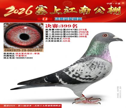 塞上江南决赛399名