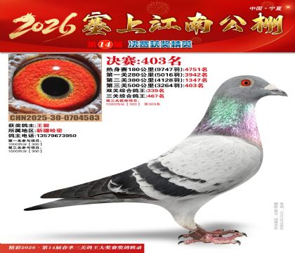 塞上江南决赛403名