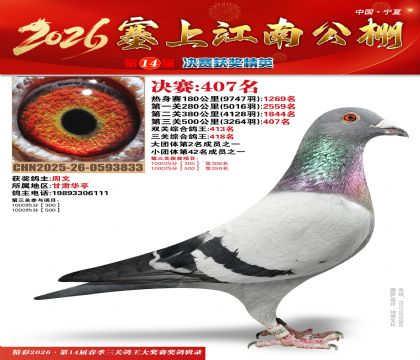 塞上江南决赛407名