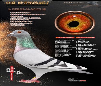 电脑桑杰士048X电脑戈马利453