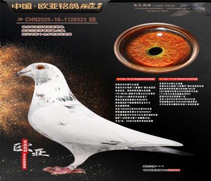 乔思托内白雪公主原舍884X697