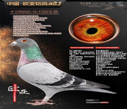 盖比.凡德纳比原舍193X123