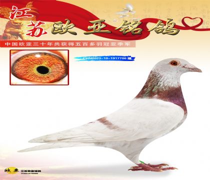 迪克凡登布克原舍387X401基特尔