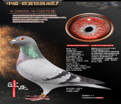 詹森原舍“公主号”131X直女653