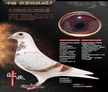 西佛依托全国冠军泰山号多重近亲317X573