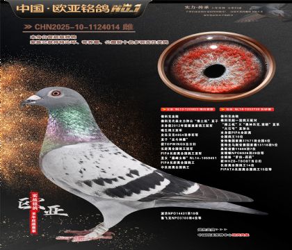 佛科克原舍“推土机”823X720