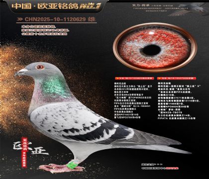 佛科克原舍“推土机”823X720