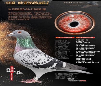 乔尔佛斯豪特原舍987X葛斯顿原舍760