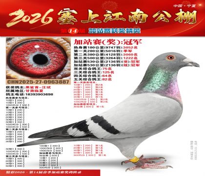 塞上江南加站赛统冠军