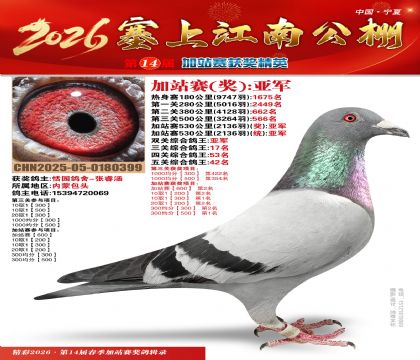 塞上江南加站赛统亚军