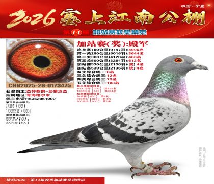 塞上江南加站赛统4名