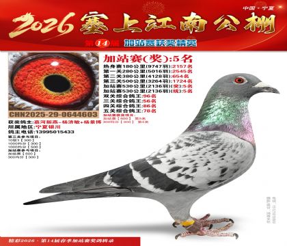 塞上江南加站赛统5名