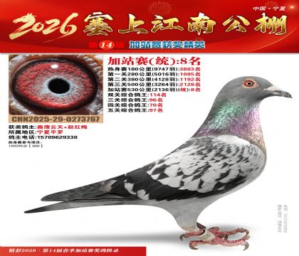 塞上江南加站赛统8名