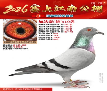 塞上江南加站赛统10名