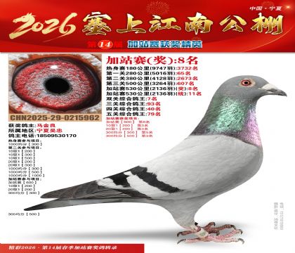 塞上江南加站赛统11名