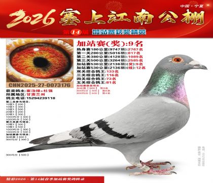 塞上江南加站赛统12名