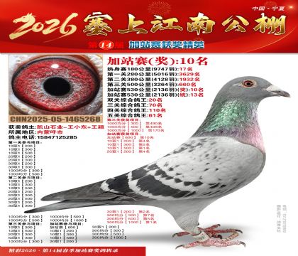 塞上江南加站赛统13名