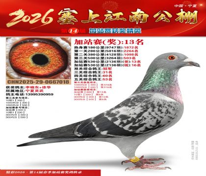 塞上江南加站赛统16名