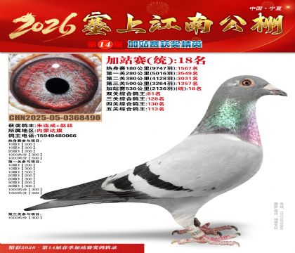 塞上江南加站赛统18名