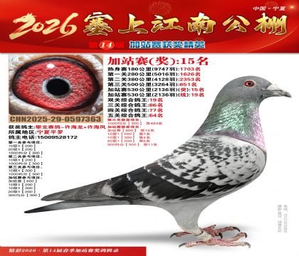 塞上江南加站赛统19名