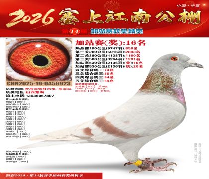 塞上江南加站赛统20名