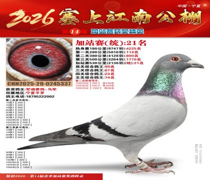 塞上江南加站赛统21名