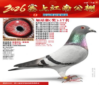 塞上江南加站赛统23名