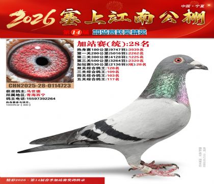 塞上江南加站赛统28名