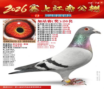 塞上江南加站赛统34名