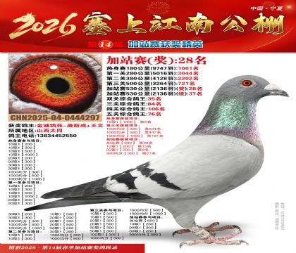 塞上江南加站赛统37名