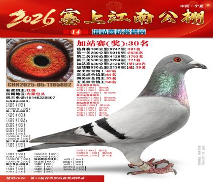 塞上江南加站赛统39名