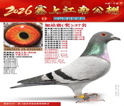 塞上江南加站赛统46名