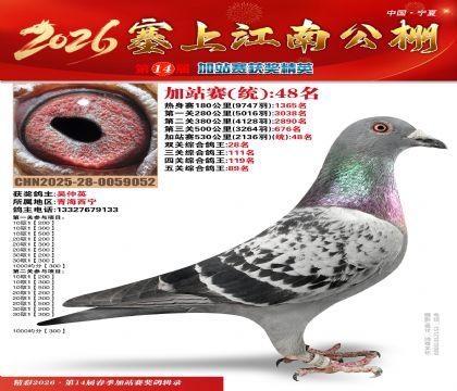 塞上江南加站赛统48名