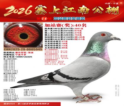 塞上江南加站赛统51名