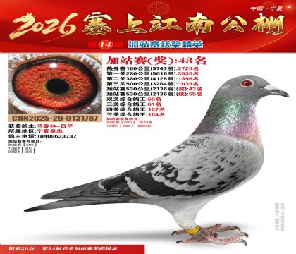 塞上江南加站赛统55名