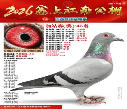 塞上江南加站赛统57名