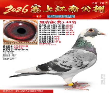 塞上江南加站赛统58名