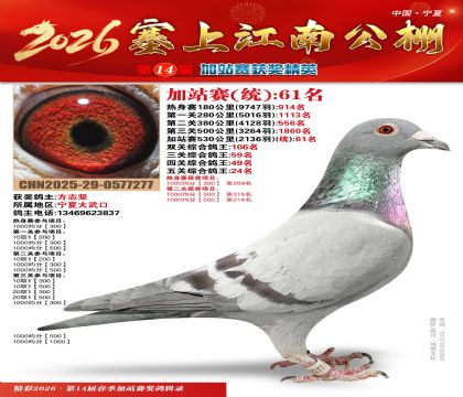 塞上江南加站赛统61名