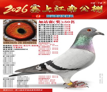 塞上江南加站赛统64名