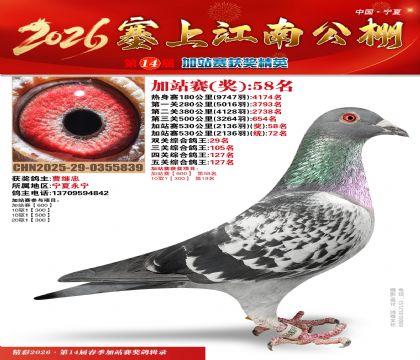 塞上江南加站赛统72名